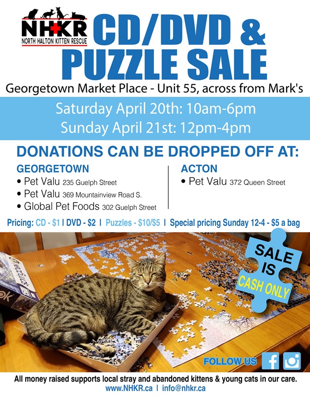 House cats for store sale near me