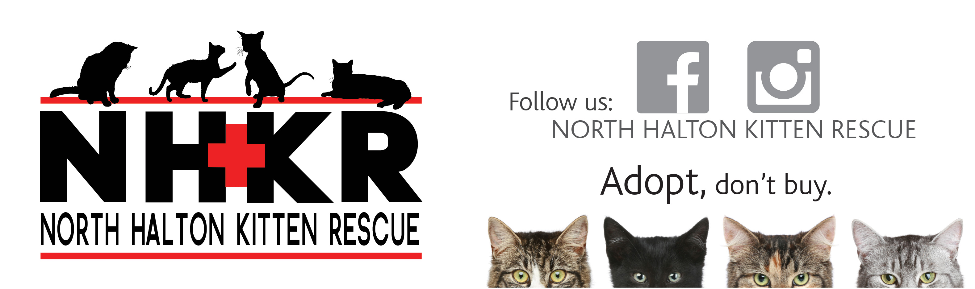 North Halton Kitten Rescue