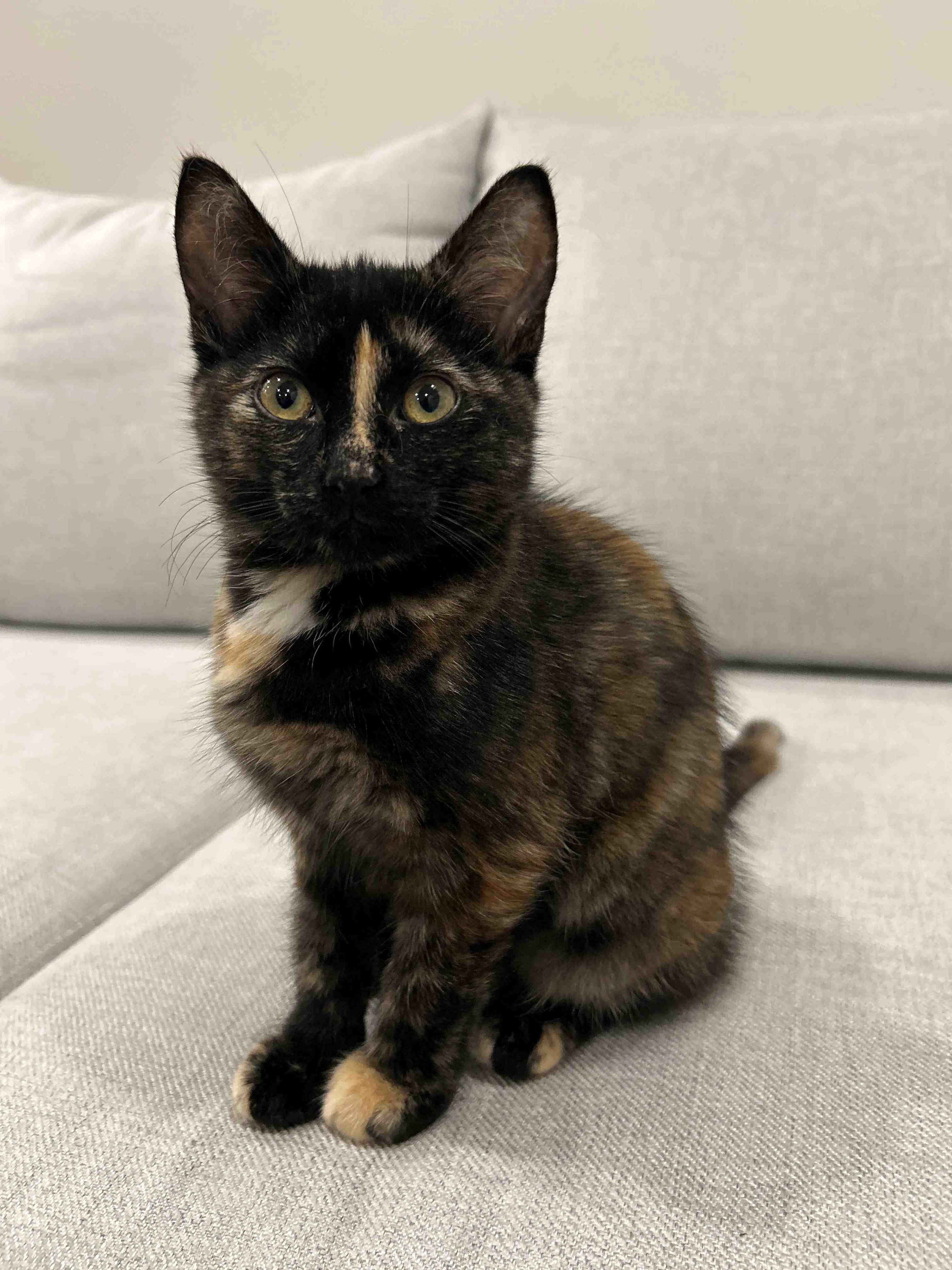Bonnie