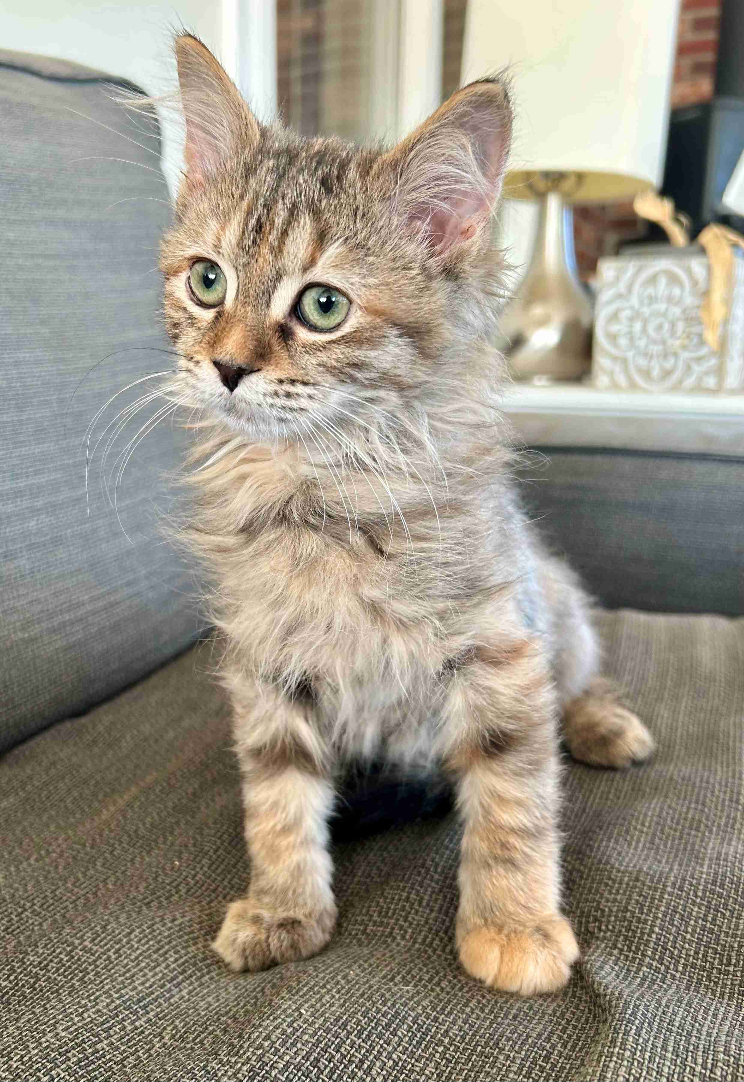 Glinda