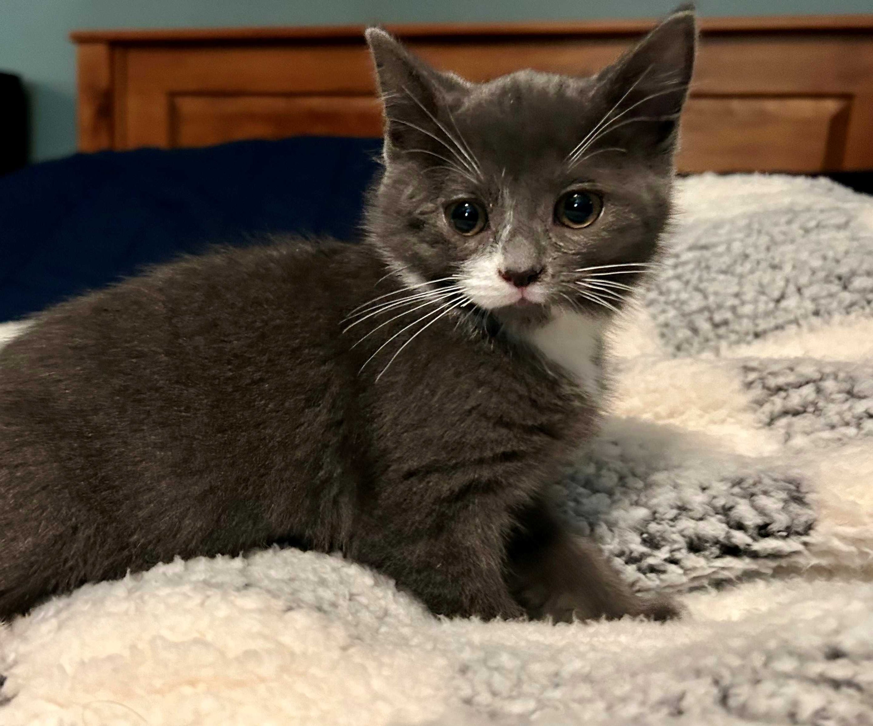 Princess Mindy Neptune