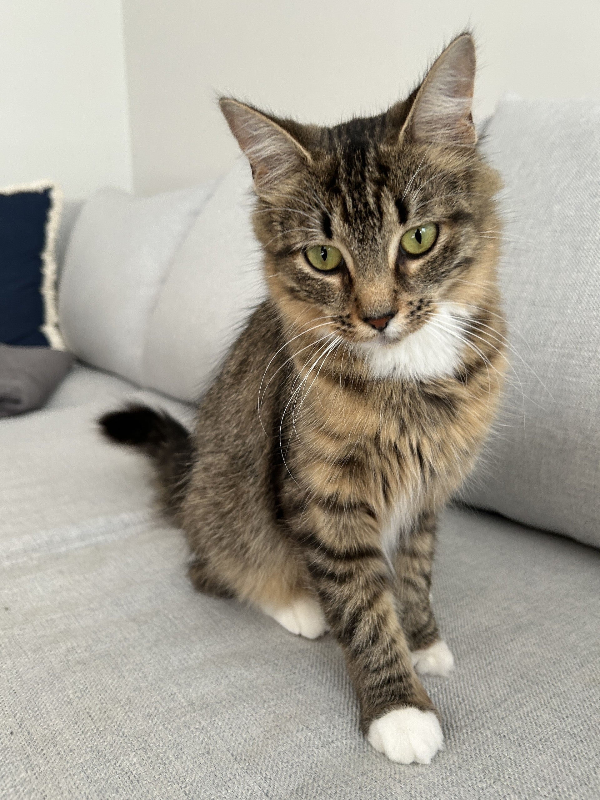 Rosie