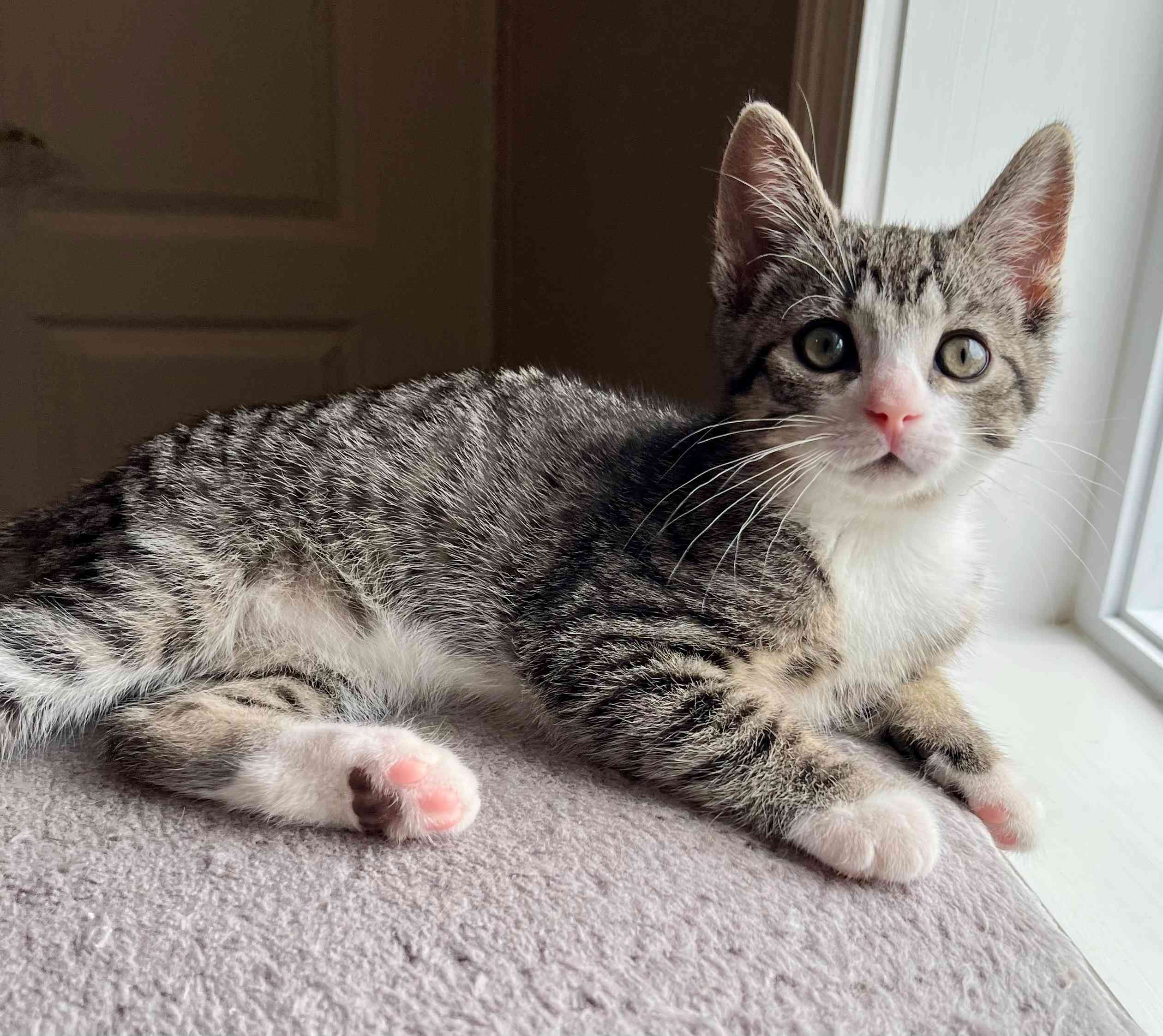 Waldorf